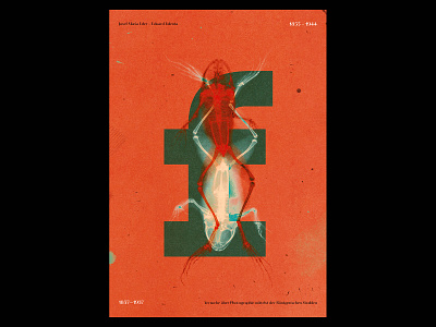 X Rays Poster a poster every day album cover daily poster frog gradient graphic graphic design illustration minimal painting poster poster a day poster art poster design posters print print design printing prints xray