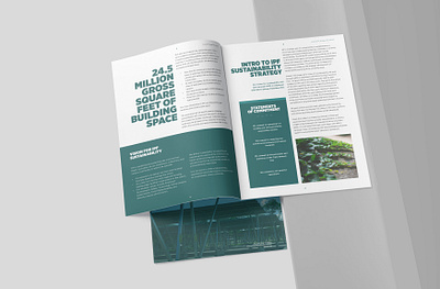 Sustainability report annual report branding colors layout layout design msu report