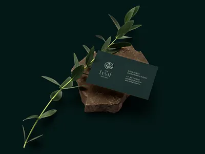 The Leaf Natural brand branding cosmetics design icon leaf logo mark natural