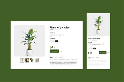 Single Product (Daily UI 12) app design daily 100 daily ui daily ui 012 daily ui 12 dailyui ecommerce plant responsive design responsive web design