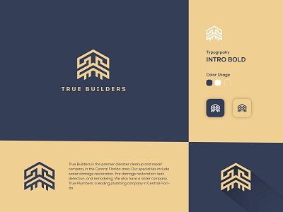 True Builder : Real Estate Logo branding building design gradiant graphic design icons logo logo color logo design concept logo designer logodesign logos real estate logo realestate true builder true builders true builders