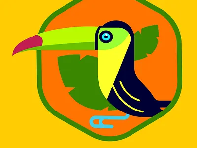 Toucan design flat illustration minimal vector