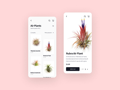 Plant Shop App app browse cards checkout clean ecommerce ecommerce app ios ios app minimal mobile plant app plants product detail products shop shopping shopping app visual design