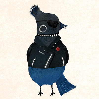 Punk Steller Jay bird punk