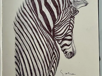 Ballpen Zebra 🦓 ballpen design drawing illustration sketch zebra 🦓