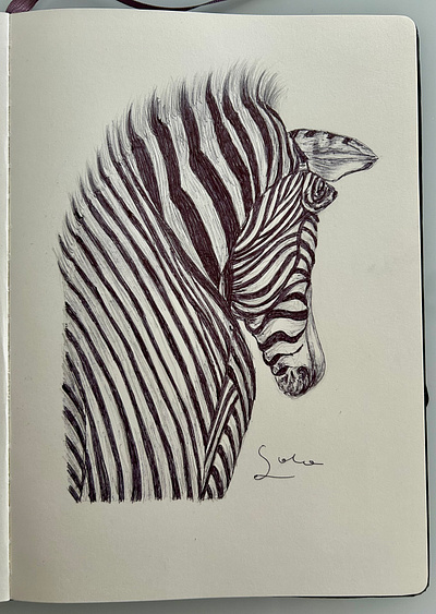 Ballpen Zebra 🦓 ballpen design drawing illustration sketch zebra 🦓