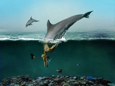 Dolphin & sea garbage illustration polluted pollution water poster sea vietnam