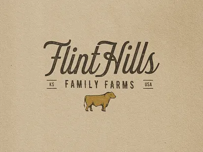 Flint Hills Family Farms beef brand and identity brand identity branding cow custom type design drawing farm illustration illustrator logo typography