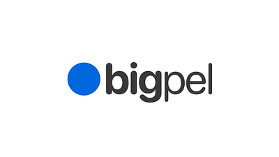 Bigpel big brand identity branding logo logodesign pixel ux