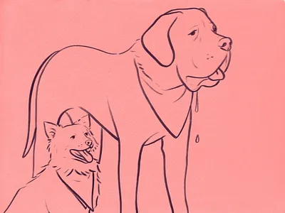 Lula & Porter dog illustration sketch