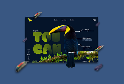 Toucan Bird (Birds Org Page) bird design figma graphic design landing page product page toucan ui ui design uidesign web design website