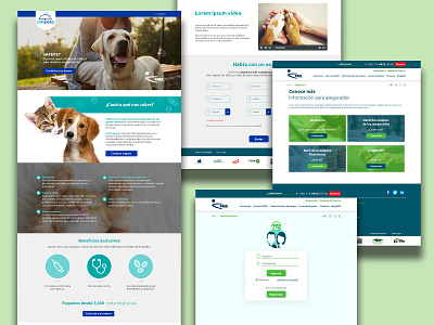 Seguro para mascotas app ui ux web