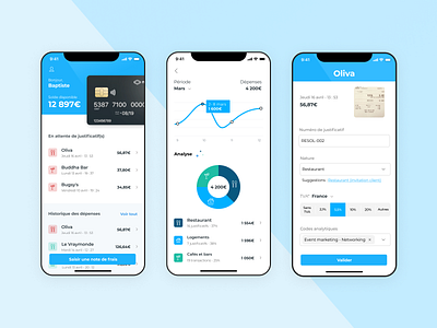 Expense report app dashboard dataviz debut design fintech inspiration ios mobile ui uidesign ux uxdesign