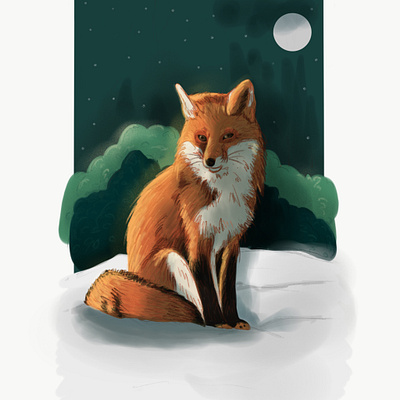 Fox animal illustration digital illustration fox fox illustration illustration illustration art wildlife art wildlife illustration