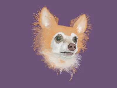 Charlie digital illustration dog dog portrait illustration ipad pet pet portrait pets procreate