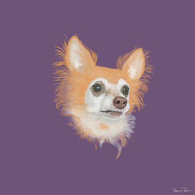 Charlie digital illustration dog dog portrait illustration ipad pet pet portrait pets procreate