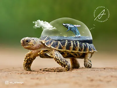 Let your imagination fly concept creative design dreams green illustration inspiration manipulation montaje photoshop turtle whale