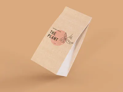 Minimal Logo branding design illustration logo package design vector