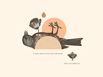 How I felt about you collage illustration