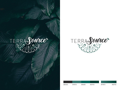 LOGO TERRA SOURCE branding branding and identity branding concept branding design design illustration logo logotype typography vector