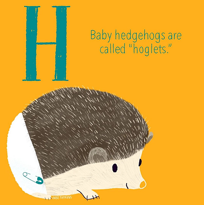 Hedgehog! animals illustrated baby animals children book illustration childrens book cute animal illustration illustrator