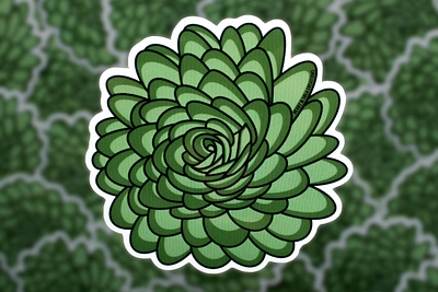 Green Succulent Sticker flower flowers illustration sticker succulent