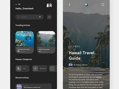 Travel App 1 app branding design illustration illustrator minimal ui ux web website
