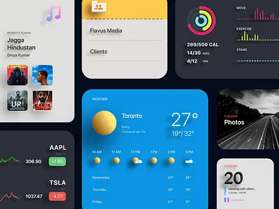 MacOS Widgets Concept app apple apple design branding design illustrator macos minimal ui ux web