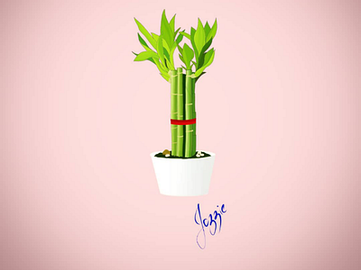 Lucky bamboo digital art graphics logo plant plant wallpaper simple vector graphics vector illustration vector wallpaper