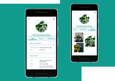 Plant user profile [DailyUI 006] app dailyui dailyui006 dailyuichallenge design mobile mobile ui monstera plant plant app ui user profile