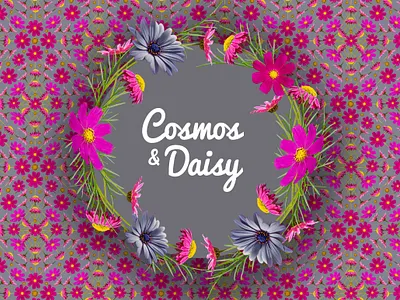 Cosmos and Daisy Floral Patterns behance cosmos daisy design floral flower isolated pattern photo photography surface design