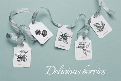 Delicious berries art berries botanica branding branding concept design dribble graphics hand drawn illustration ink inspiration label line art package pen pen and ink pencil sketch raspberry sketch