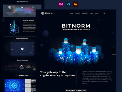 Bitnorm-Cryptointelligence Suite