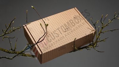 Eco Friendly Packaging | Wholesale | Upto 40% OFF biodegradable boxes eco friendly boxes eco packaging boxes eco packaging wholesale green boxes reusable packaging