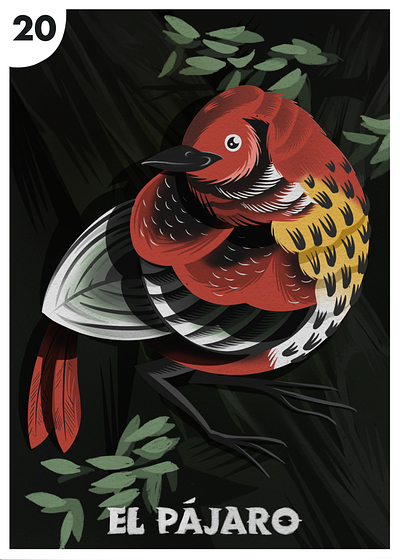 El Pájaro - The Bird ancy audoban bird bird illustration darkness digital art folk art game art hand drawn loteria nature nervous nervousness night time pajaro procreate procreate app procreate art