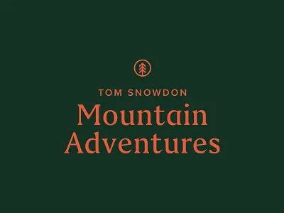 Tom Snowdon Mountain Adventures - concept 2 adventure badge green mountain pink snowdon tree tree logo