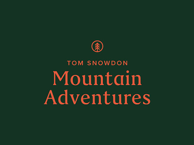 Tom Snowdon Mountain Adventures - concept 2 adventure badge green mountain pink snowdon tree tree logo