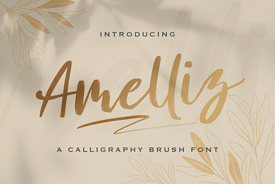 Amelliz - Calligraphy Brush Font brush calligraphy casual elegant feminime handdrawn handlettering handwritten ligature lovely luxury modern script stylish whimsical