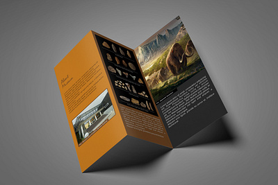 Trifold Museum Brochure brochure design brochure layout flyer design historic leaflet museum otherside trifold brochure