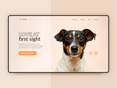 Daily UI - 03 | Landing Page animal animal shelter daily 100 challenge dailyui dailyui 003 dailyuichallenge dog interface landingpage orange rescue shelter ui uidesign websesign website