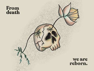 Death & Reborn death illustration plant plant illustration reborn skull