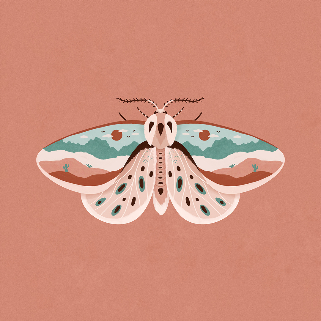 Example of Desert Moth