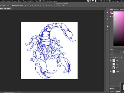 Escorpion Rey sketch illustration scorpion