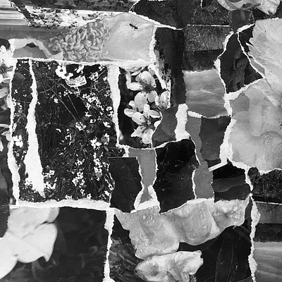 Tear, Place, Glue analog collage design glue halftone paper photography texture