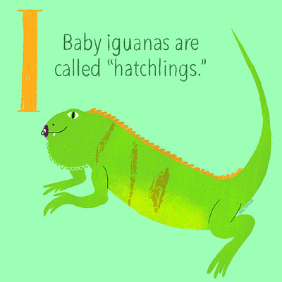 Iguana Baby baby animals childrensbookillustration childrensbooks illustratio illustration illustration digital kids art