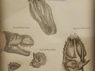 dinosaurs for my son illustration