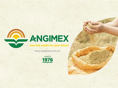 Angimex Catalogue branding catalog graphic design illustration logo