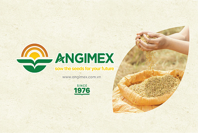 Angimex Catalogue branding catalog graphic design illustration logo