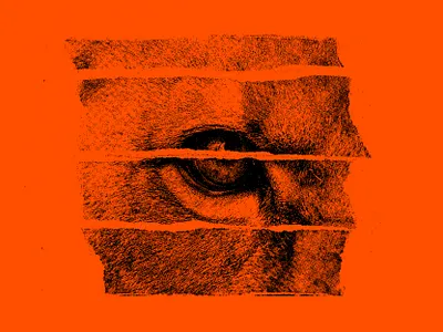 Eye cutpaper eye grunge lion physical red ripped texture