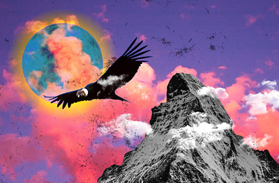 Condor and Faith bird branding collage designspiration digital dribbble fly freedom graphicdesign hexcode hindustan times illustrator logo mountain parthgarg photoshop social media typography uiux vector